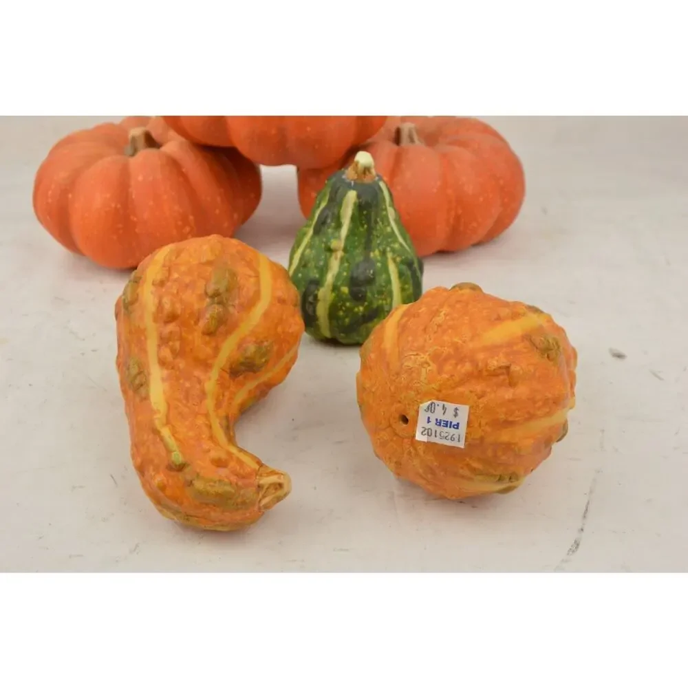 Pier 1 Fall Halloween Decor Lot Pumpkins Gourds Corn Witch Doll Autumn Harvest
